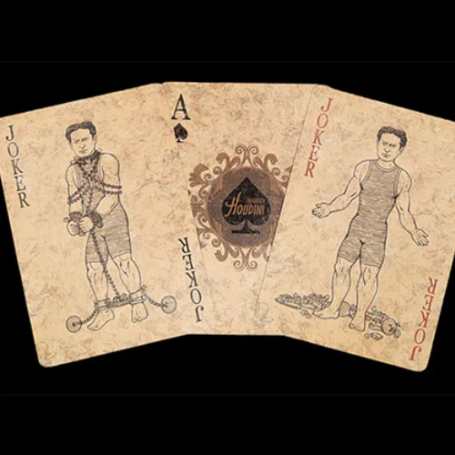 Bicycle Harry Houdini - Image 4