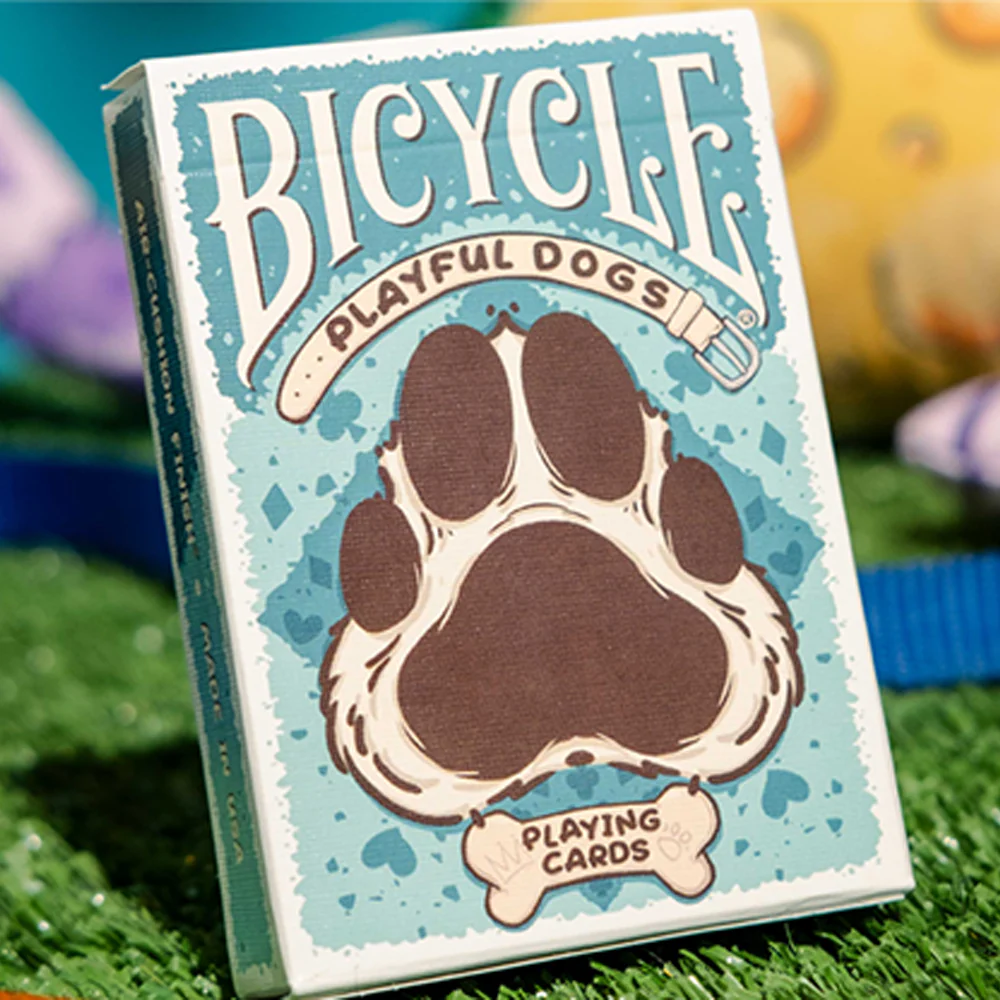 Bicycle Playful Dog