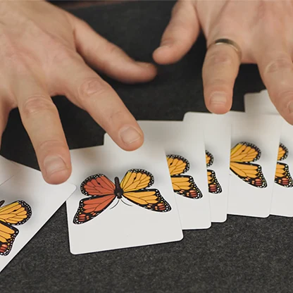Caterfly - Image 3