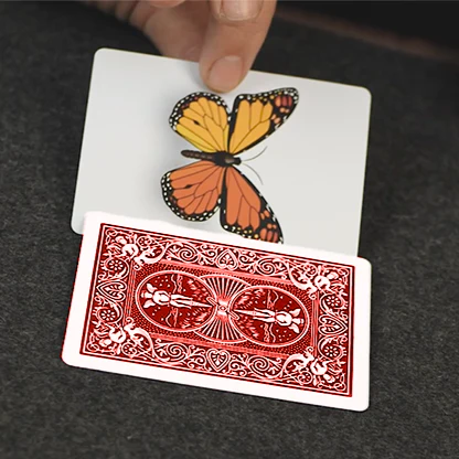 Caterfly - Image 5