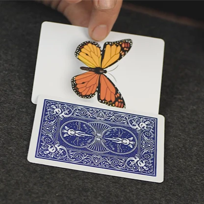 Caterfly - Image 7