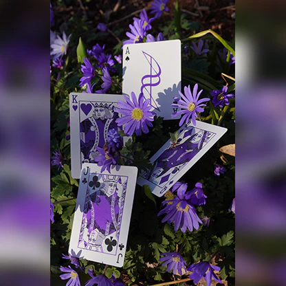 Dream of Butterflies - Image 2
