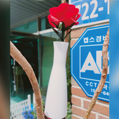 Dream Rose - Image 3