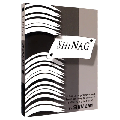 Shinag by Shin Lim video DOWNLOAD