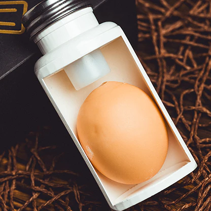 Egg Bottle - Image 2