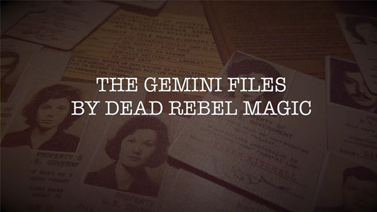 Gemini Files - Image 6