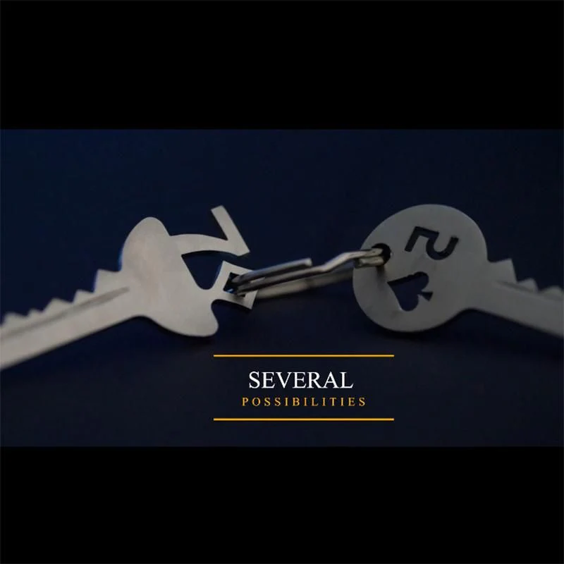Key Project - Image 4