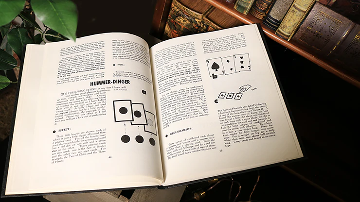 Magic of Frederica (Limited/Out of Print) - Image 4