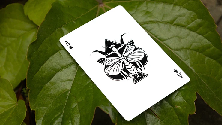 Mantis (Marqué) - Image 3