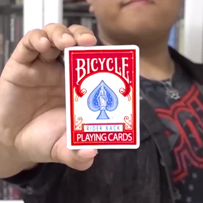 Modern Flap Card to Box (Rouge)