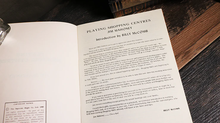 Playing Shopping Centers - Image 2