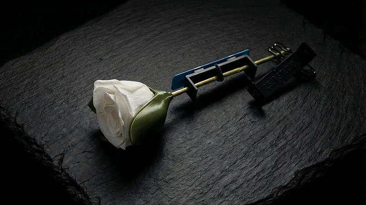 Project H - Rose Holder - Image 3