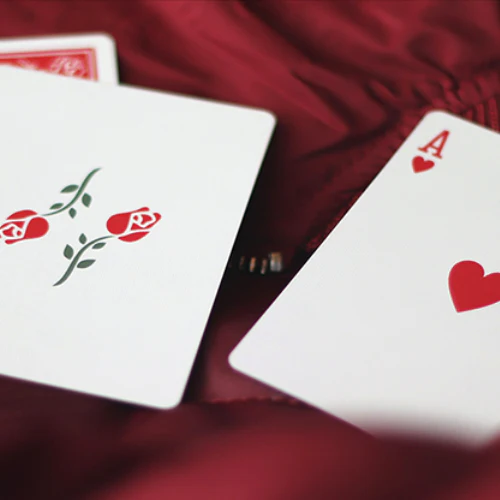 Red Roses - Image 4