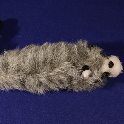 Roxie The Raccoon (Spring Animal) - Image 2