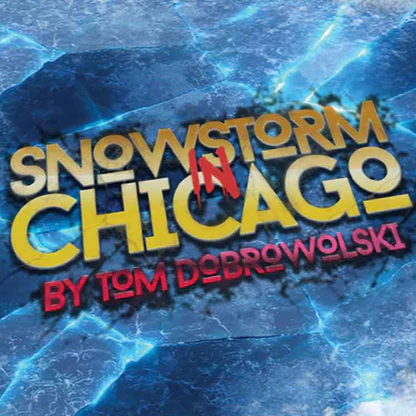 Snowstorm In Chicago