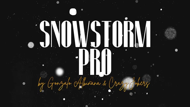 SnowStorm Pro - Image 5