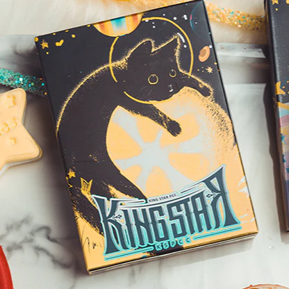 Space Cat V2