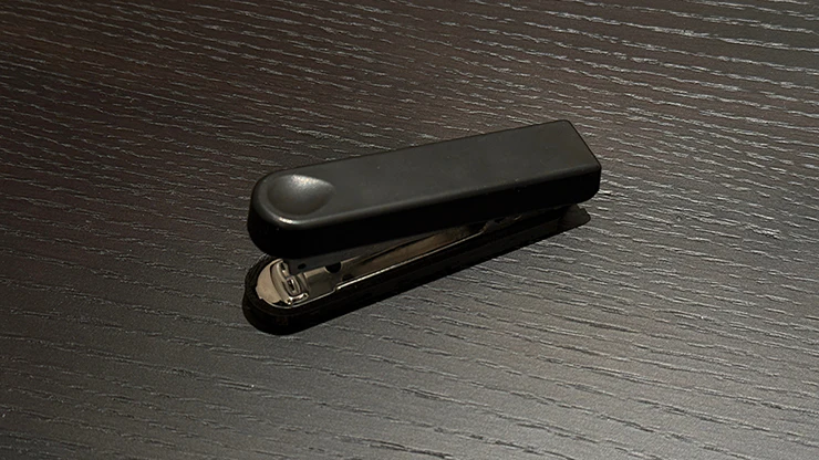 Stapled Fusion - Image 2