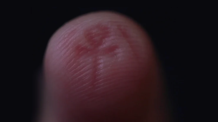 The Artefact - Image 5